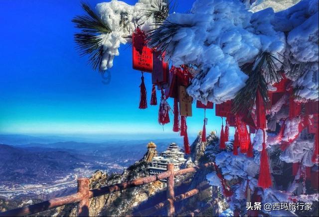 狗剩爹李梦男实力再度出圈燃爆荧屏！《狗剩快跑》成“爆款”！